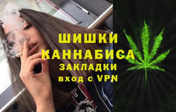 гашик Белокуриха