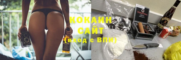 гашик Белокуриха