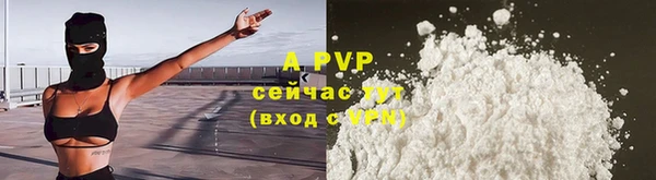 прущие грибы Беломорск