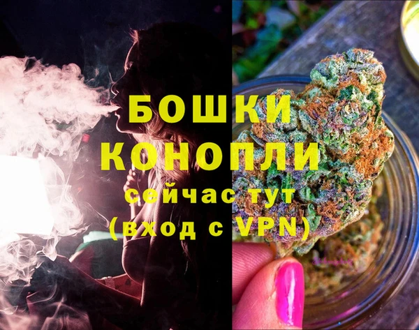 гашик Белокуриха