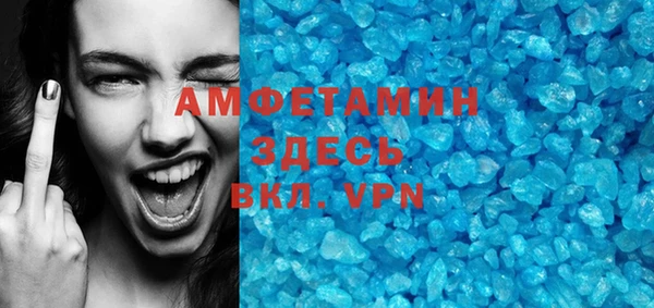 прущие грибы Беломорск