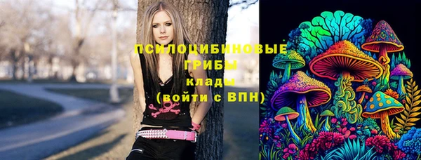 дживик Белоозёрский