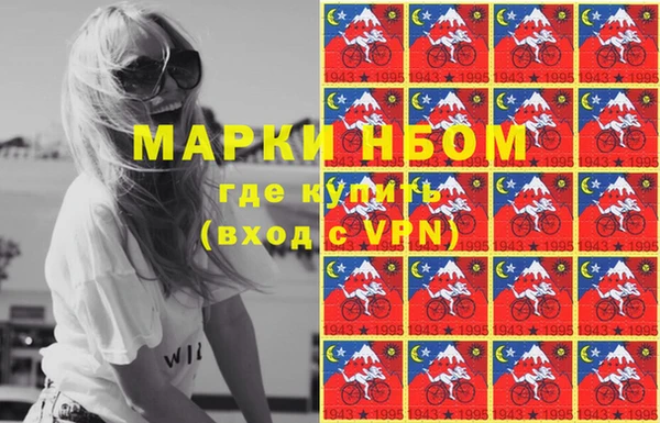 прущие грибы Беломорск
