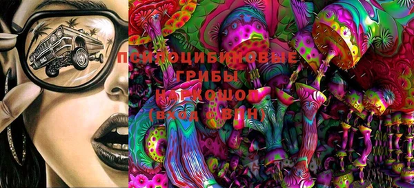 гашик Белокуриха