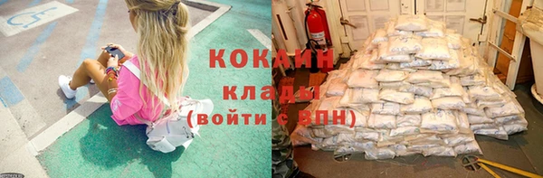 гашик Белокуриха