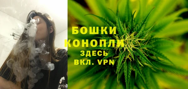 прущие грибы Беломорск