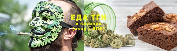 прущие грибы Беломорск