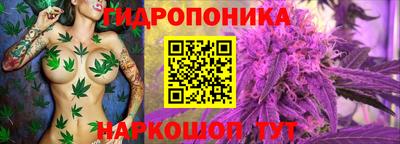 мяу мяу кристалл Владивосток