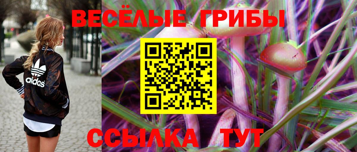 Богданович  Кетамин  ГАШ  Вход с VPN  A PVP СОЛЬ кристаллы  МЕФ кристаллы  АМФЕТАМИН кристаллы  Конопля  Где найти наркотики?  Гашиш  Кокаин 