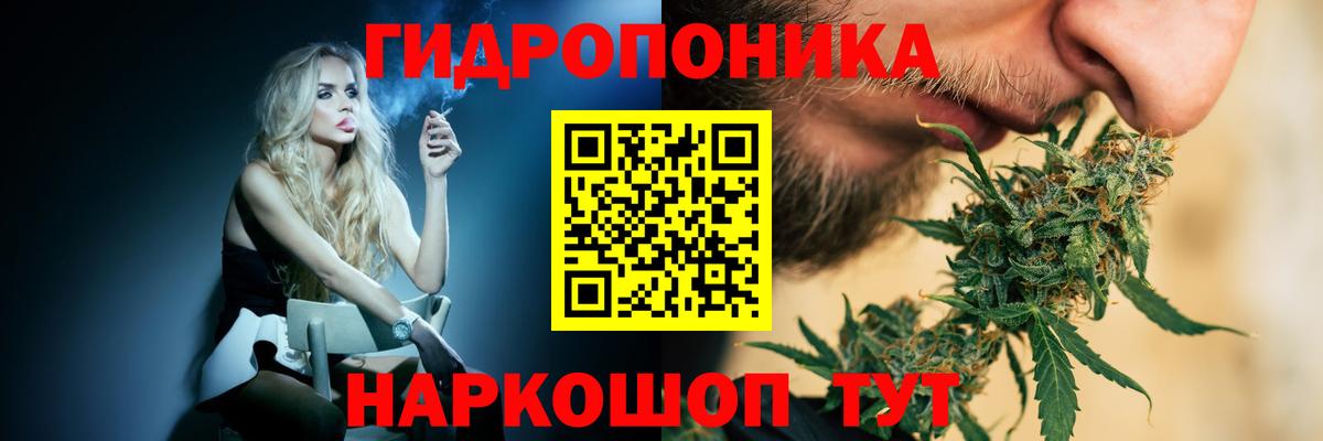 Канабис VHQ  МАРИХУАНА семена  Богданович  Каннабис OG Kush  Вход с VPN 